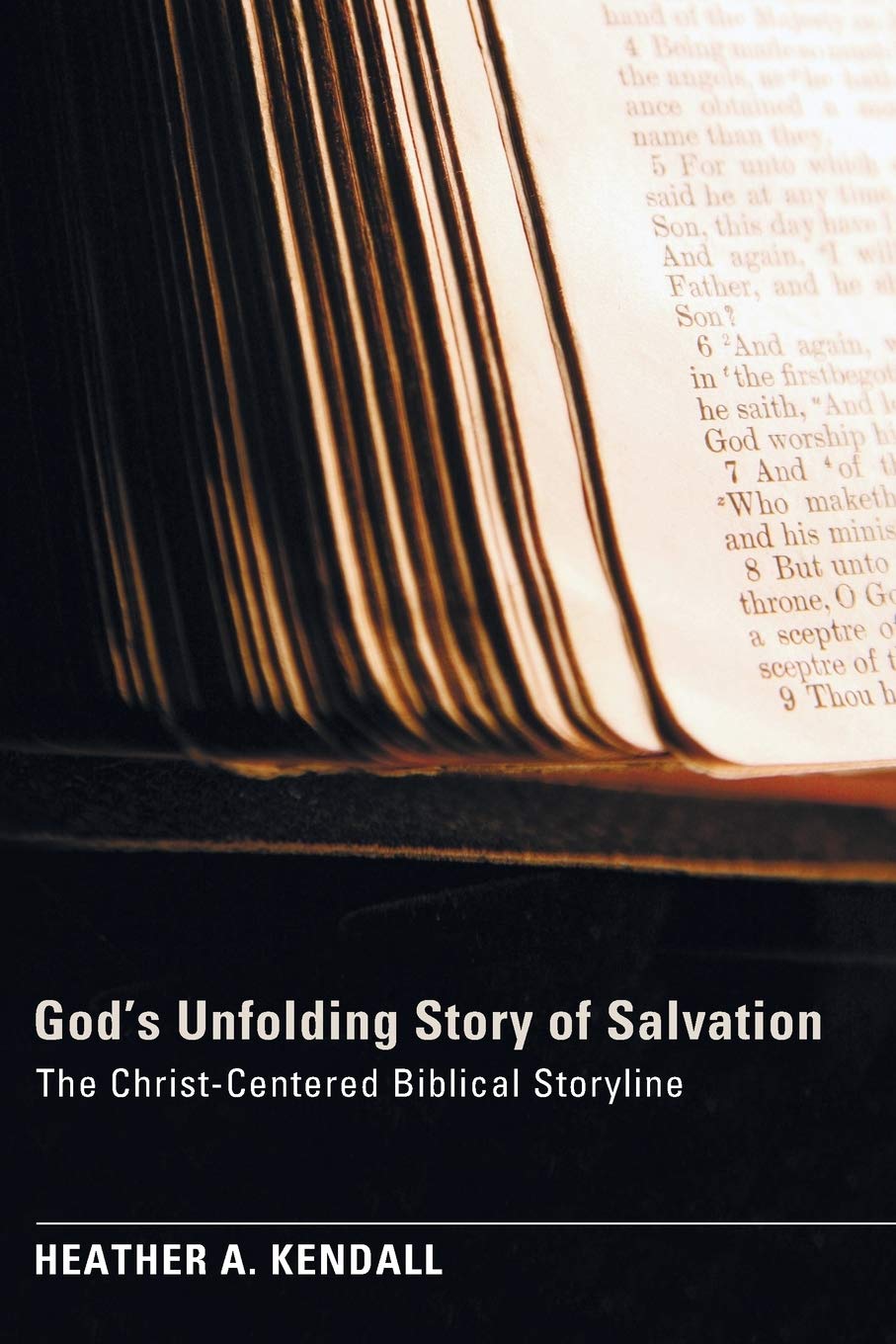 God's Unfolding Story of Salvation: The ChristCentered Biblical Storyline,Used