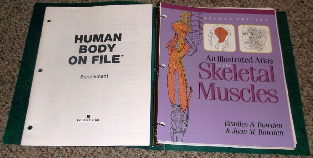 An Illustrated Atlas of the Skeletal Muscles,New