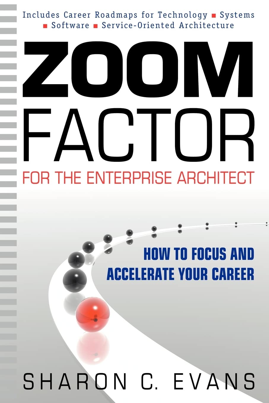 Zoom Factor for the Enterprise Architect: How to Focus and Accelerate Your Career,New
