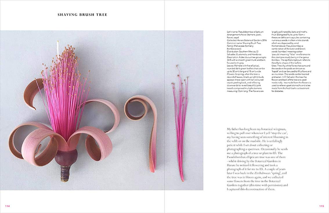 The Accidental Botanist: A Deconstructed Flower Book,Used
