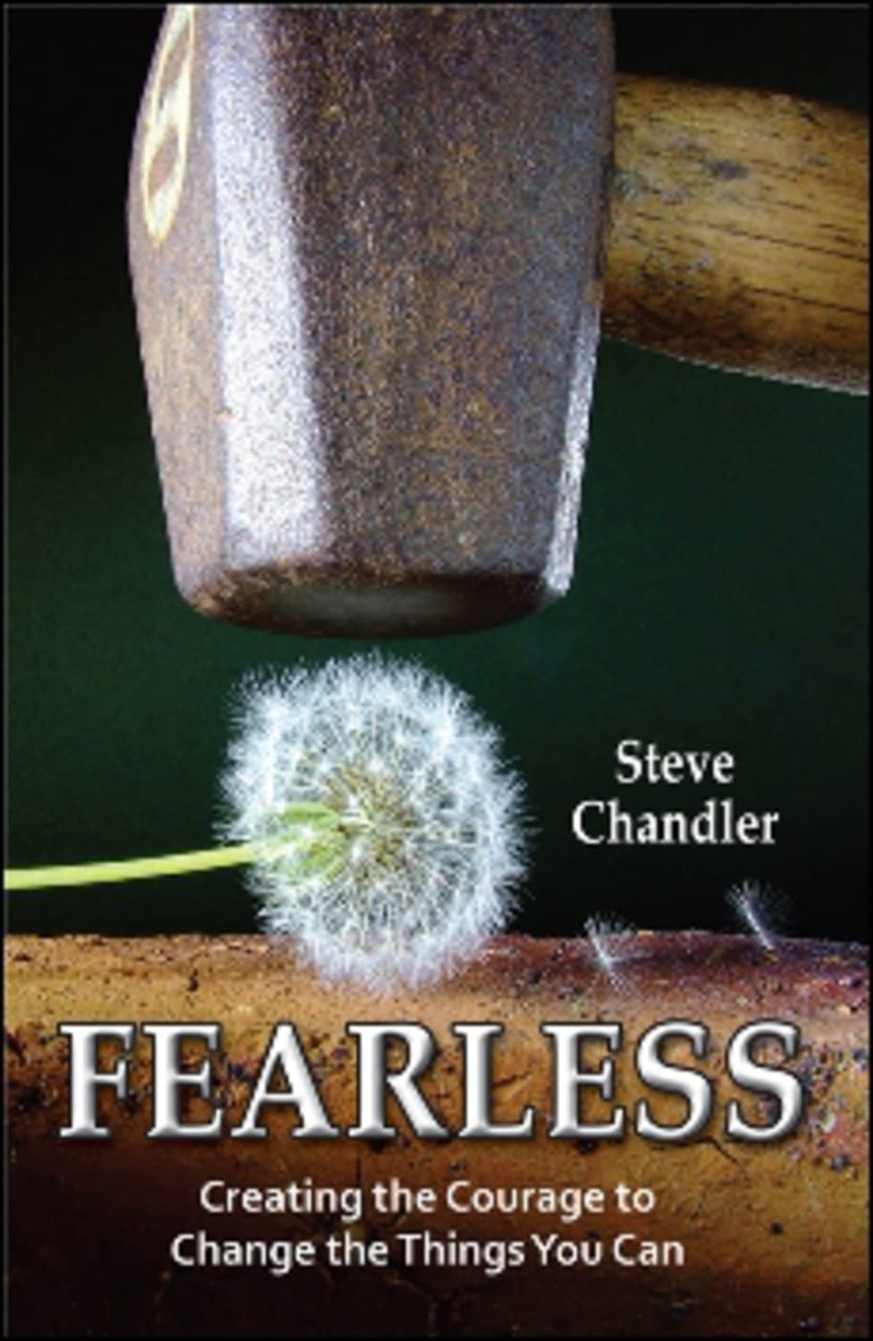 Fearless: Creating The Courage To Change The Things You Can