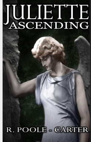 Juliette Ascending,Used