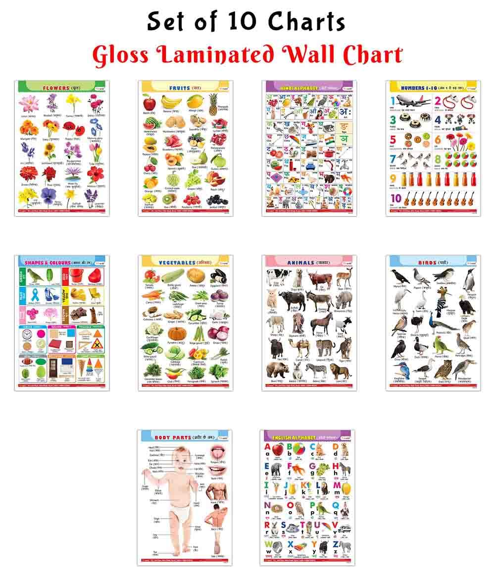 Educational Wall Charts For Children : Alphabet, Fruits, Vegetables, Animals, And More  English-Hindi Glossy Laminated Set - Educational Wall Charts, Learning Posters For Children | Pack Of 10 Charts