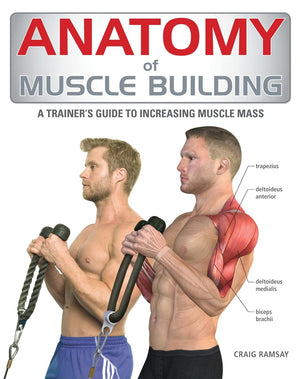 Anatomy of Muscle Building: A Trainer's Guide to Increasing Muscle Mass,Used