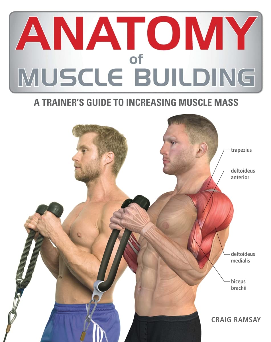 Anatomy of Muscle Building: A Trainer's Guide to Increasing Muscle Mass,Used