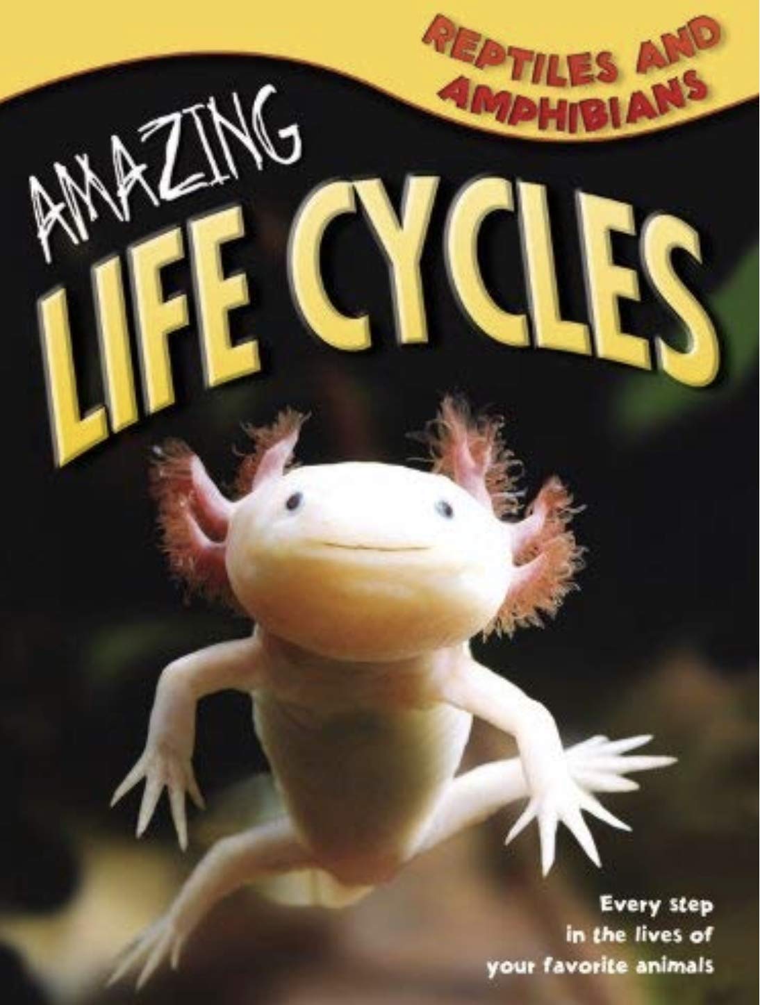 Amazing Reptiles and Amphibians (Amazing Life Cycles),Used