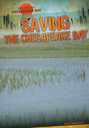 Saving the Chesapeake Bay (Exploring the Chesapeake Bay),Used