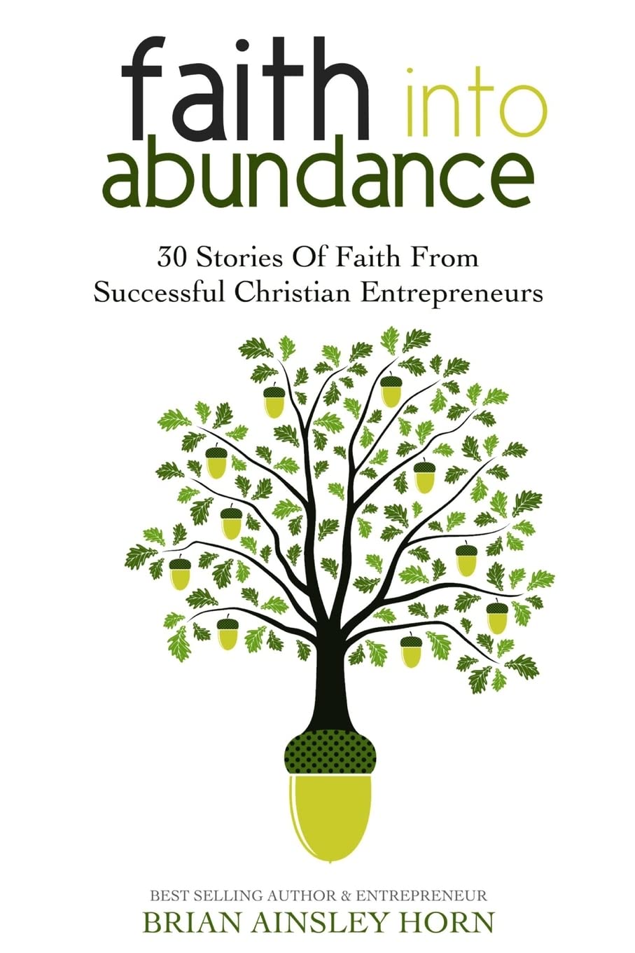 Faith Into Abundance: 30 Stories of Faith From Successful Christian Entrepreneurs,Used