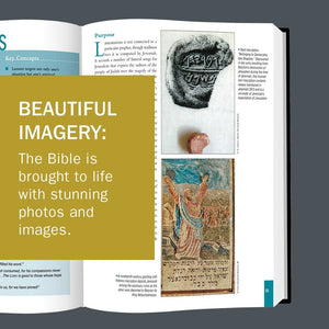 The Essential Bible Companion: Key Insights for Reading God's Word (Essential Bible Companion Series),Used