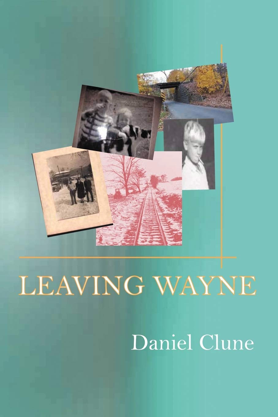 Leaving Wayne: A Story About Overcoming Trauma, Poverty, And Addiction While Growing Up In A Time Of Radical Change,Used