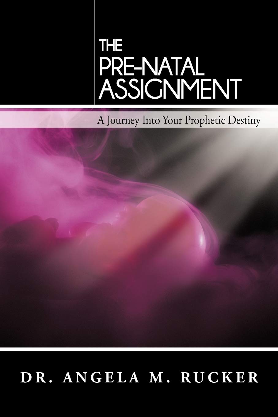 The PreNatal Assignment: A Journey Into Your Prophetic Destiny,Used