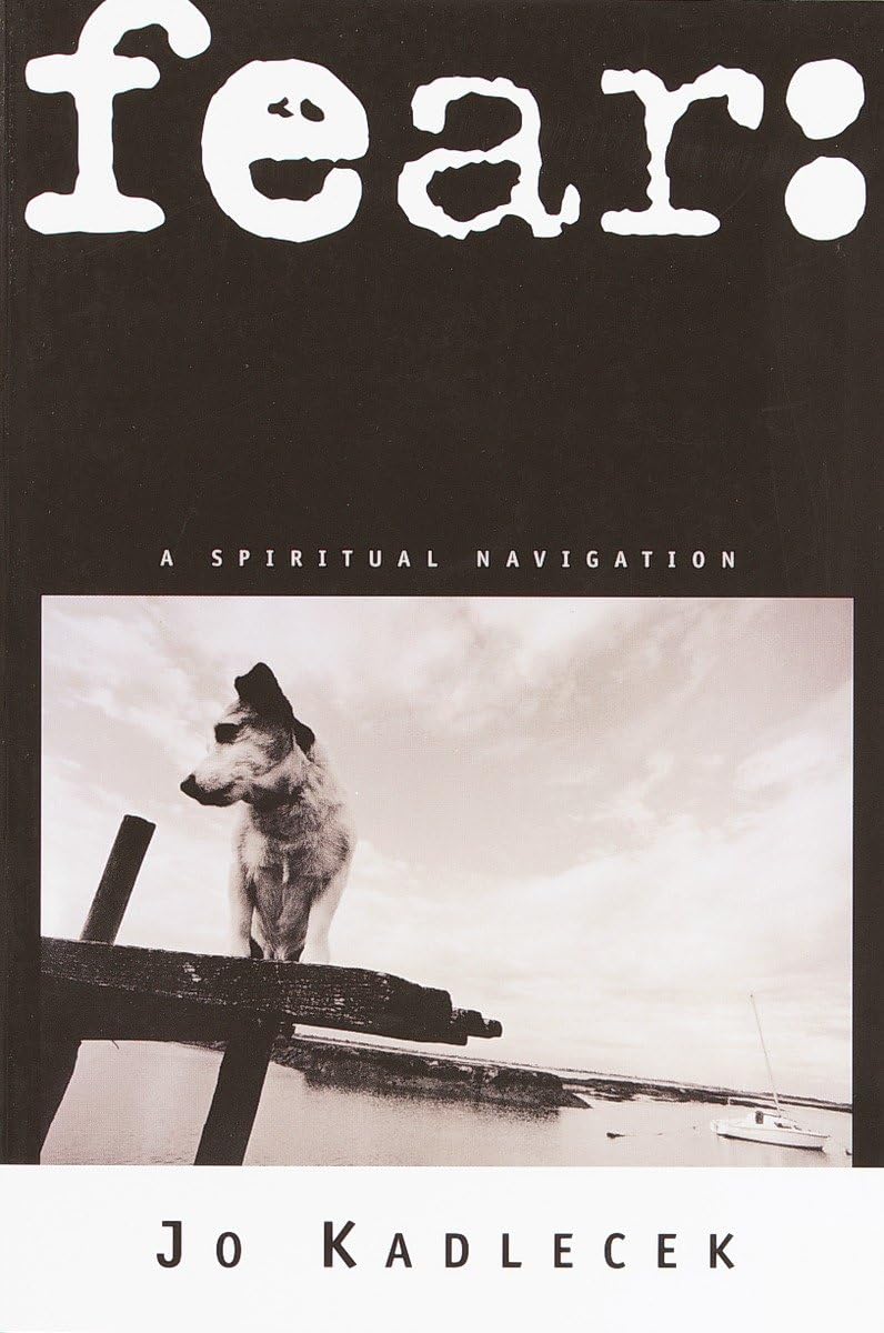 Fear: A Spiritual Navigation,Used