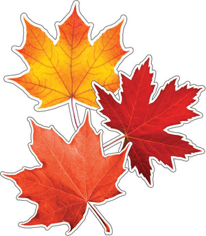 Schoolgirl Style 36 Fall Leaf Cutouts For Bulletin Board, Fall Classroom Cutouts, Orange And Red Fall Cutouts For Classroom, Fal,New
