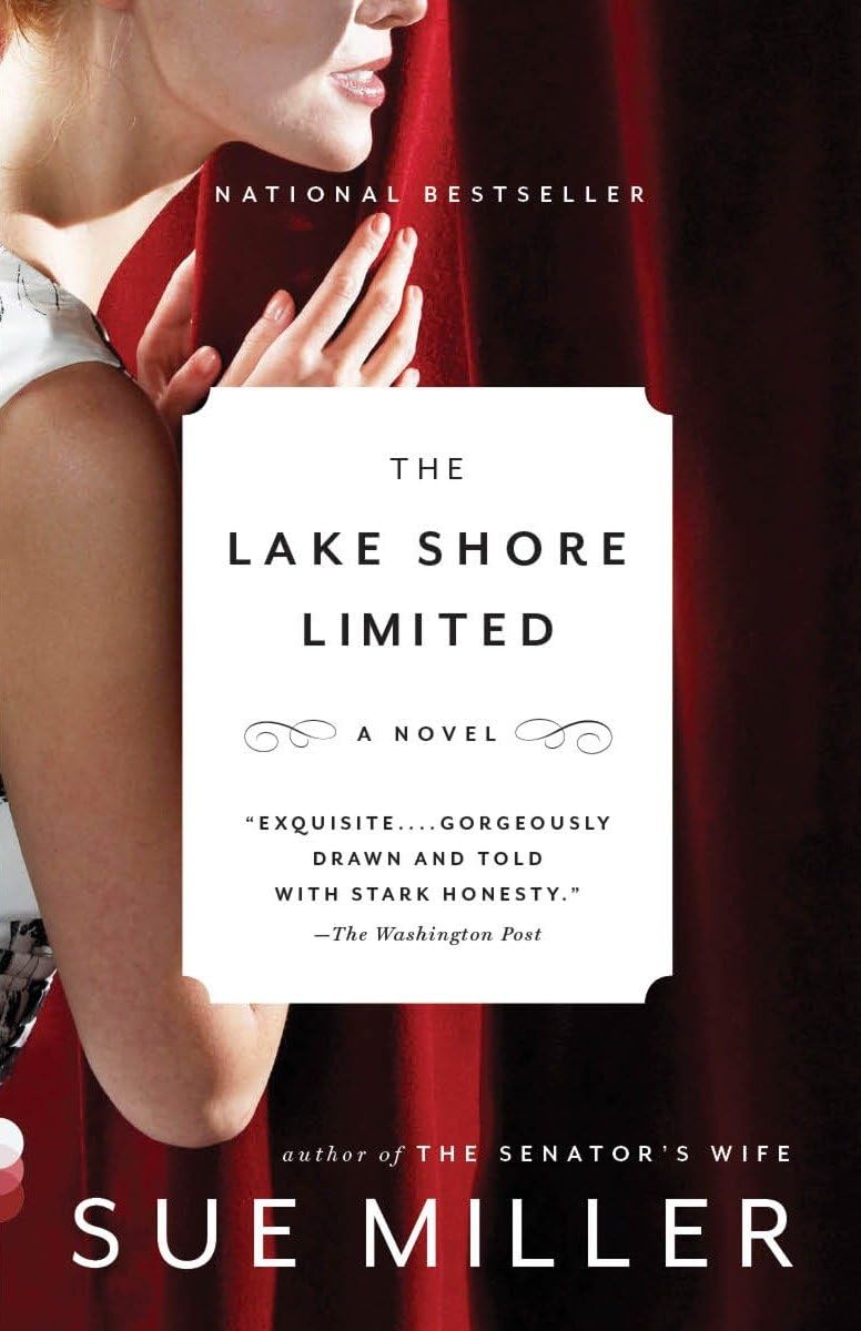 The Lake Shore Limited (Vintage Contemporaries),New