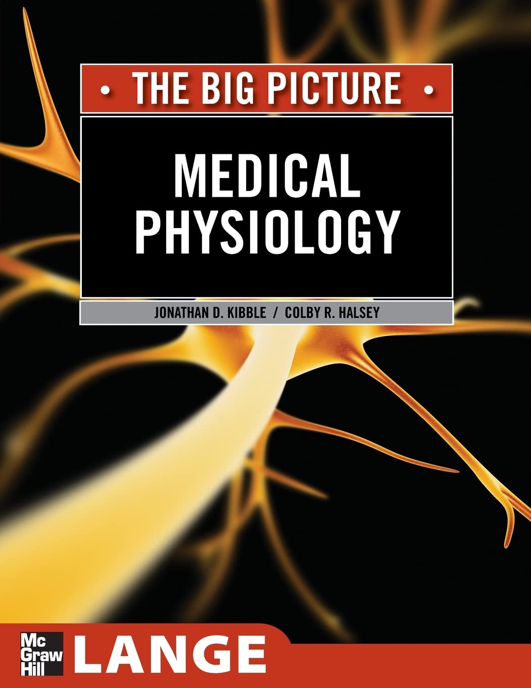 Medical Physiology: The Big Picture (Lange The Big Picture),New
