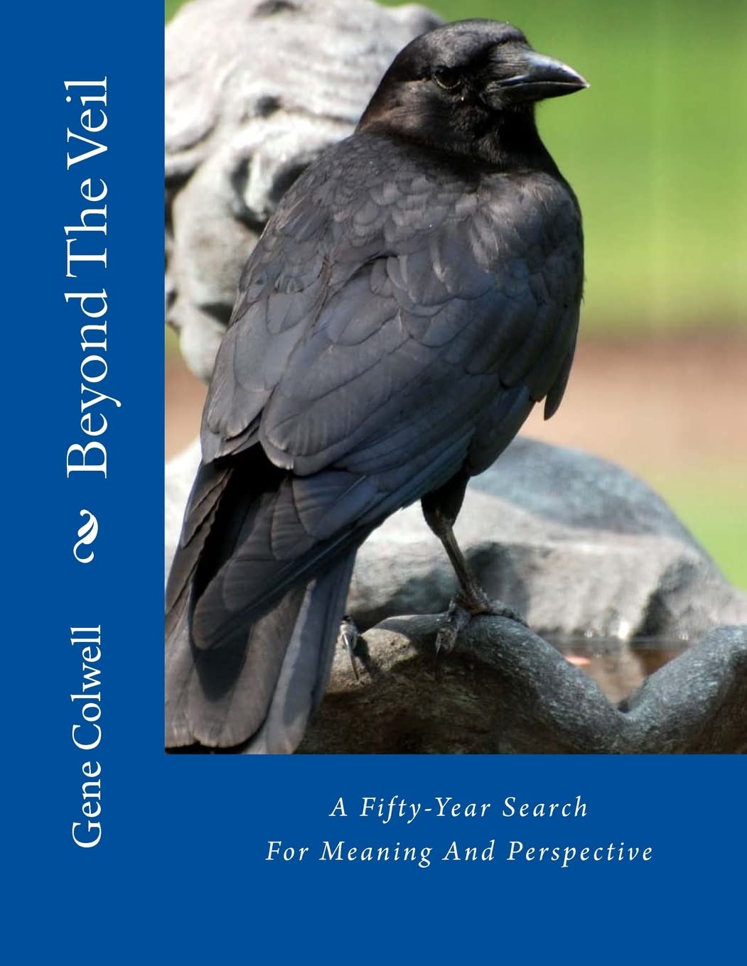 Beyond The Veil: A Fiftyyear Search For Meaning And Perspective,Used