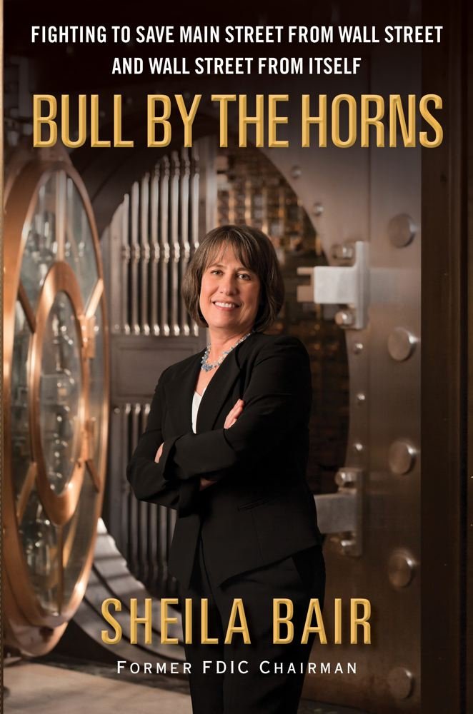 Bull By The Horns: Fighting To Save Main Street From Wall Street And Wall Street From Itself
