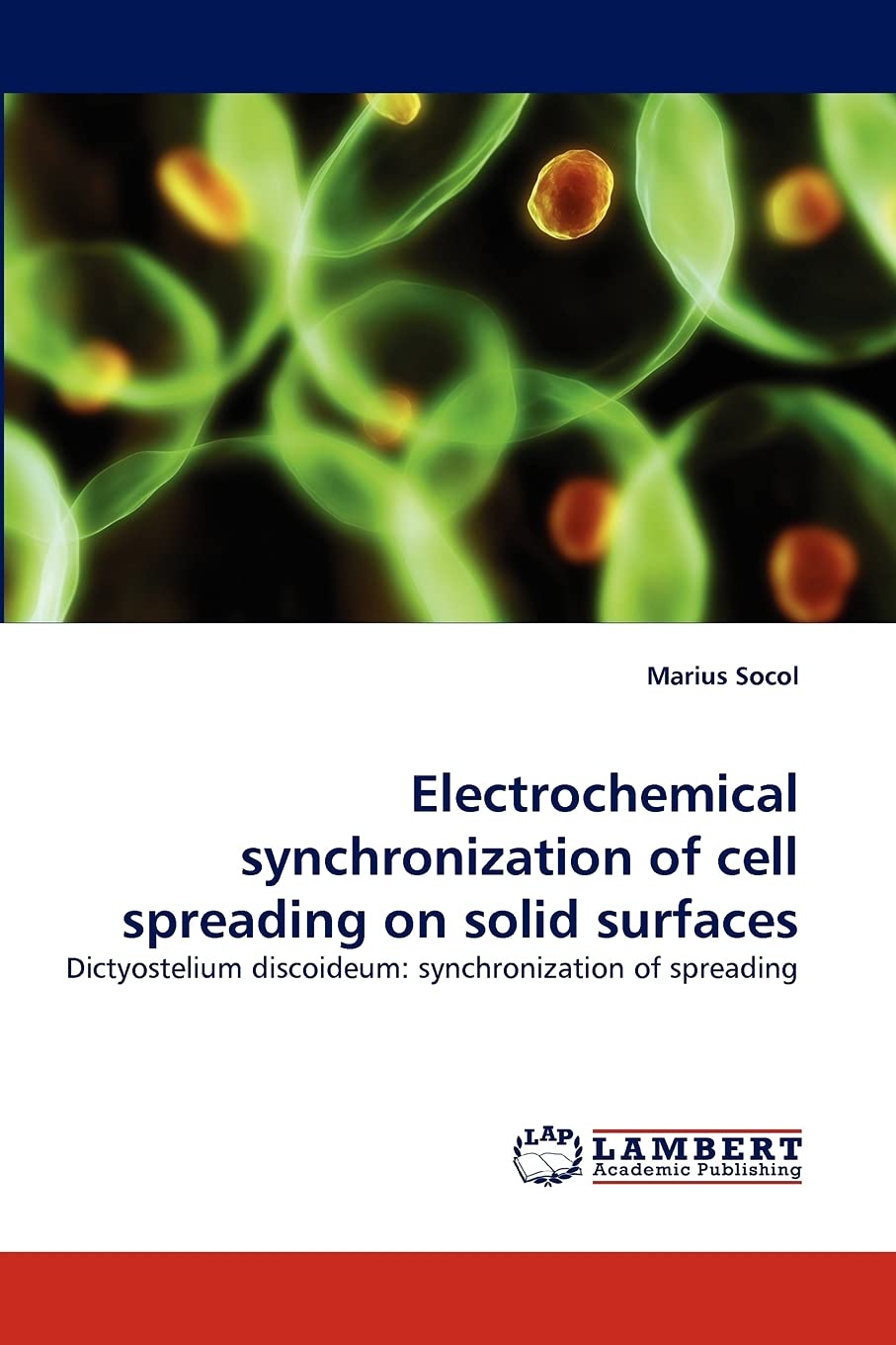 Electrochemical synchronization of cell spreading on solid surfaces: Dictyostelium discoideum: synchronization of spreading,Used