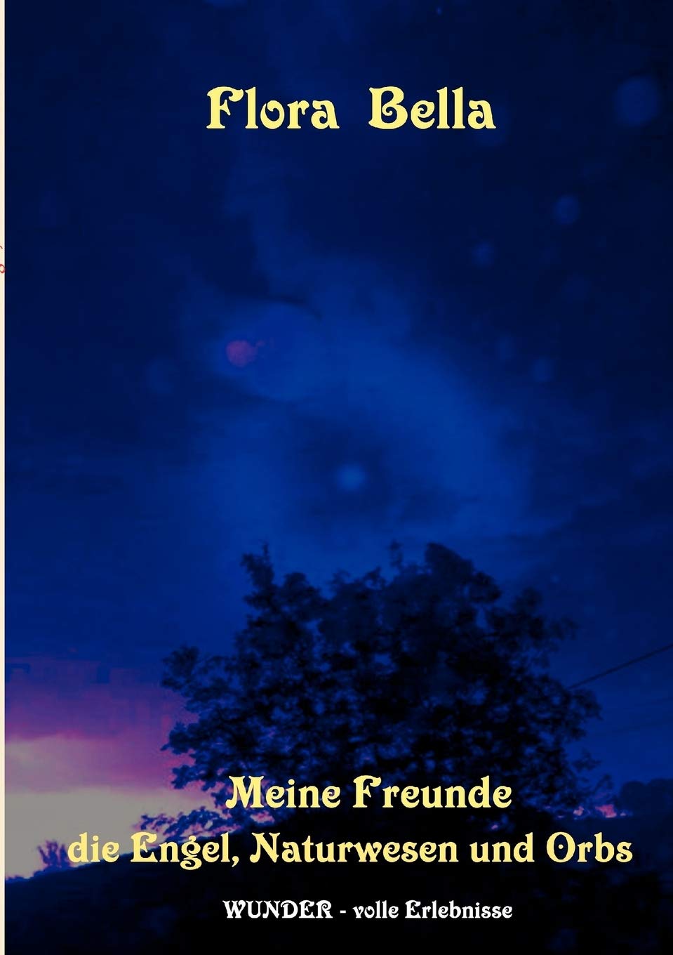 Meine Freunde die Engel, Naturwesen und Orbs (German Edition),Used