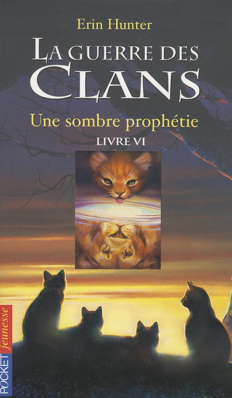 Une Sombre Prohetie (Guerre Des Clans) (French Edition),Used