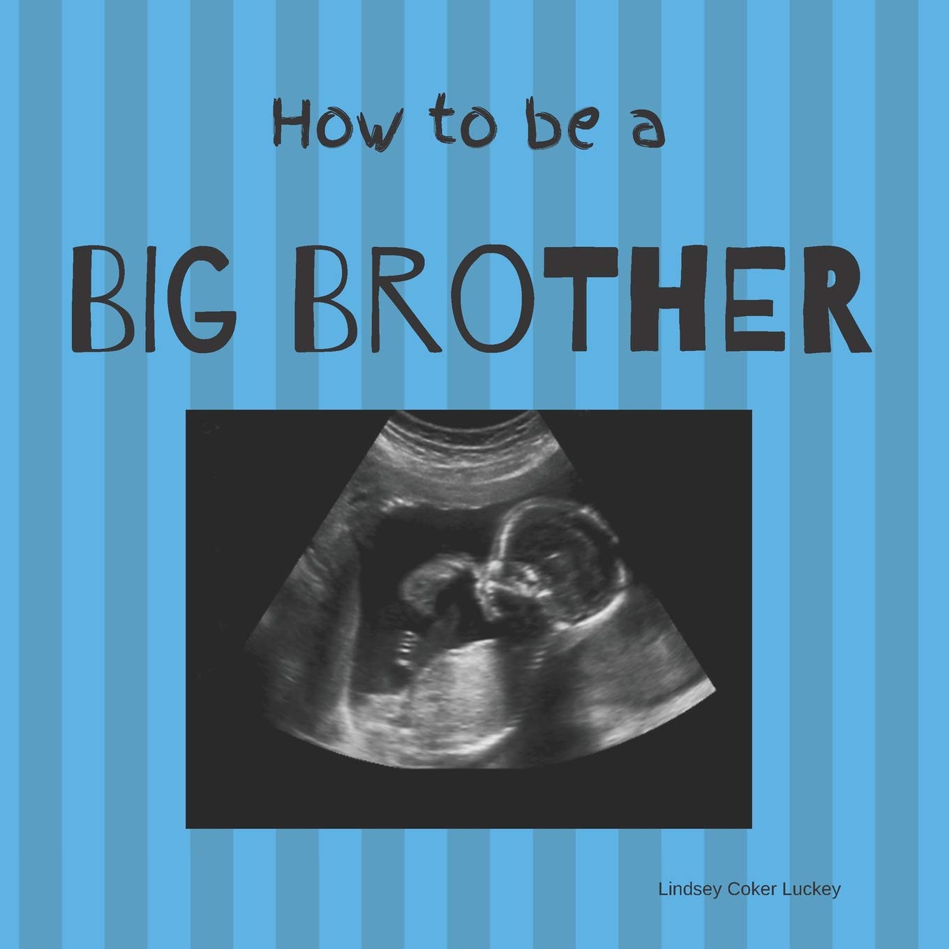 How to be a Big Brother: Picture Book for Photo Prop,Used