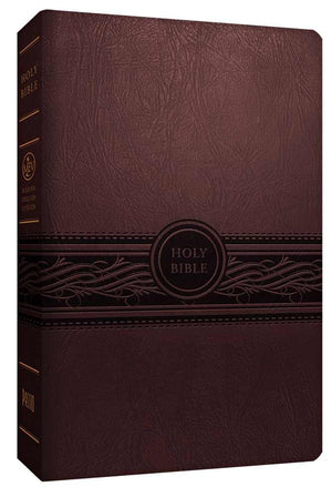 MEV Bible Personal Size Large Print Cherry Brown: Modern English Version,Used