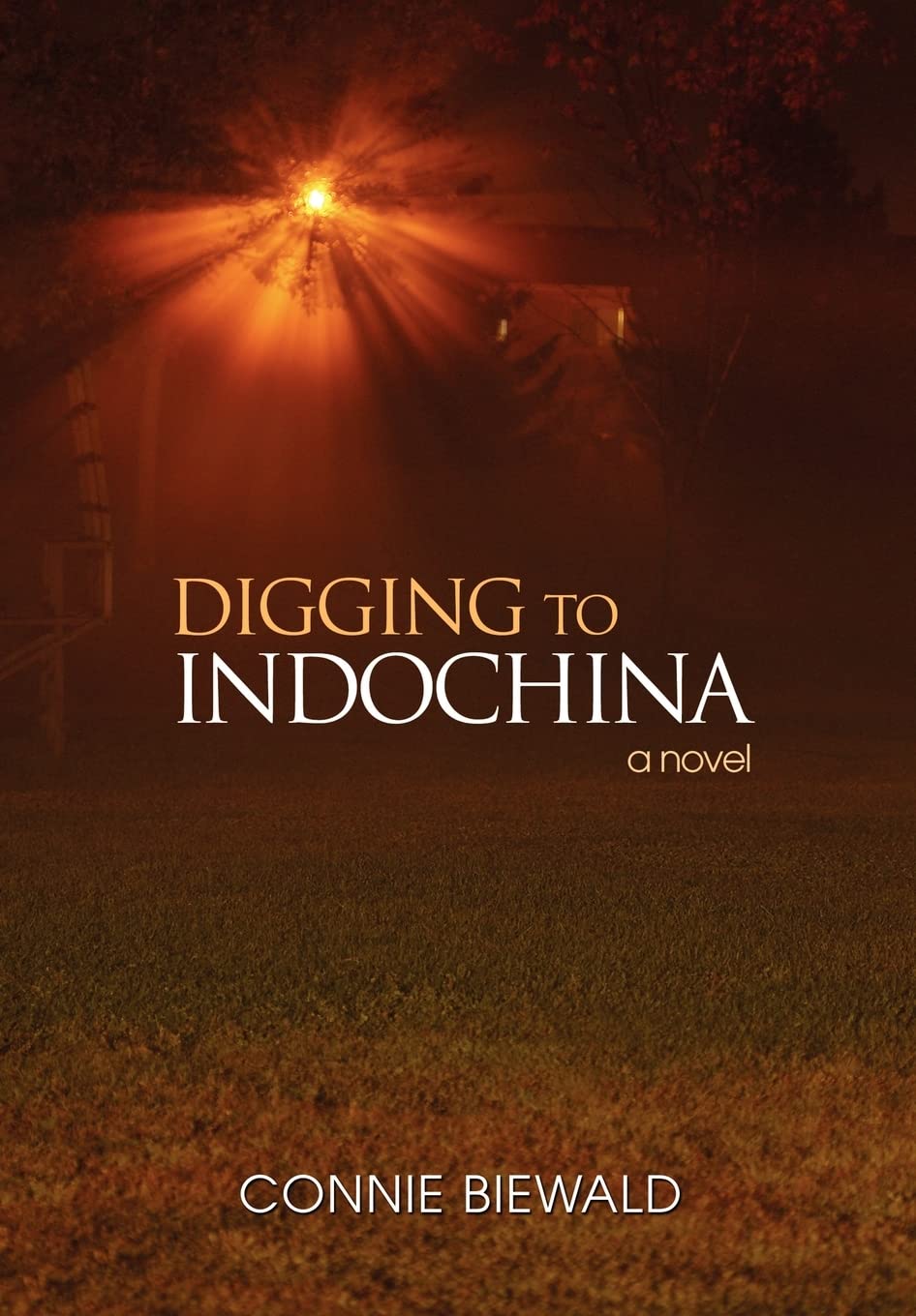 Digging to Indochina,Used