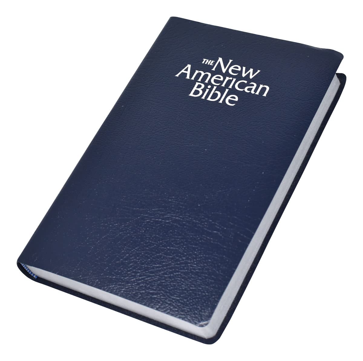 The New American Bible,Used