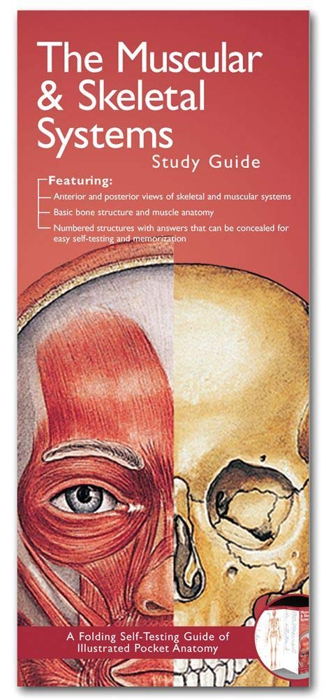 Anatomical Chart Company'S Illustrated Pocket Anatomy: The Muscular & Skeletal Systems Study Guide,New