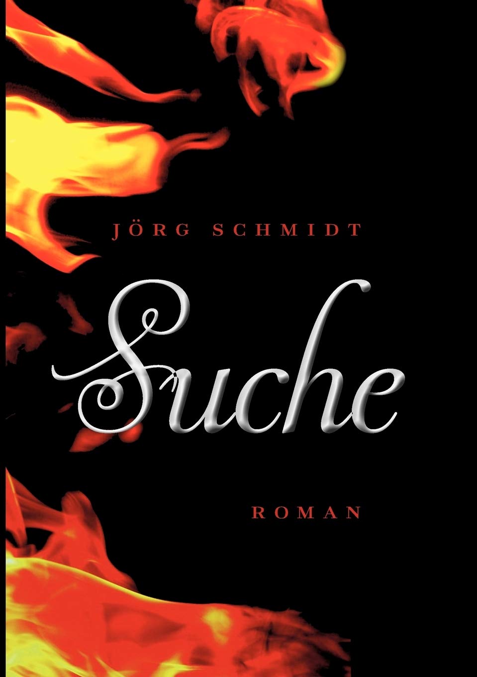 Suche: Roman (German Edition),Used