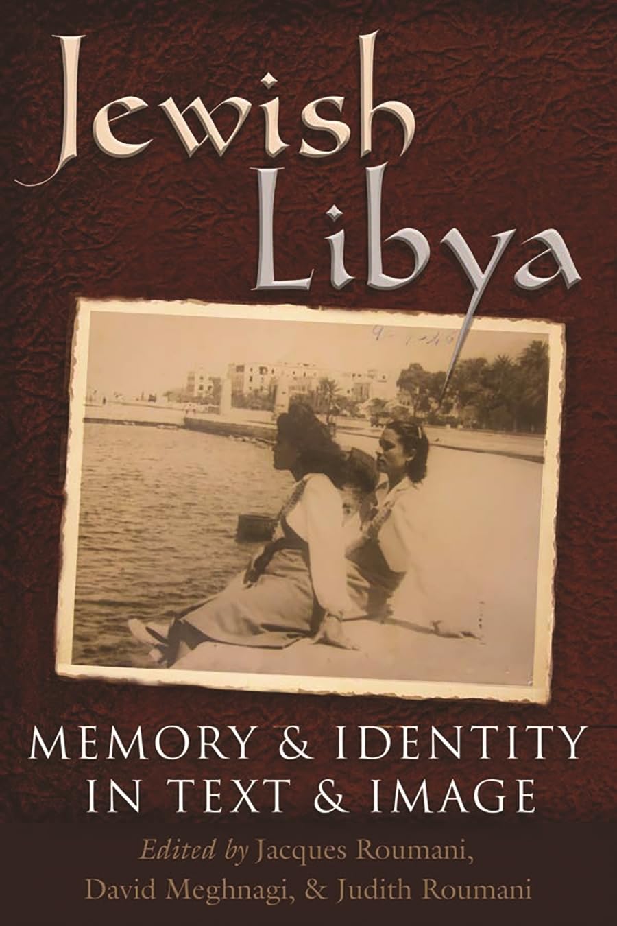 Jewish Libya: Memory And Identity In Text And Image (Modern Jewish History),Used