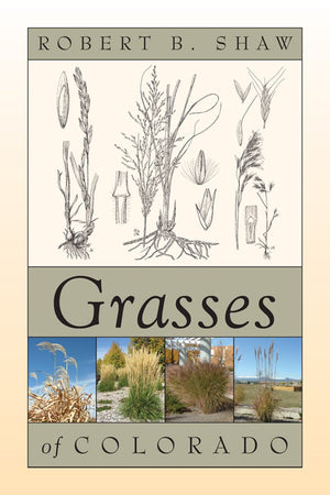 Grasses Of Colorado