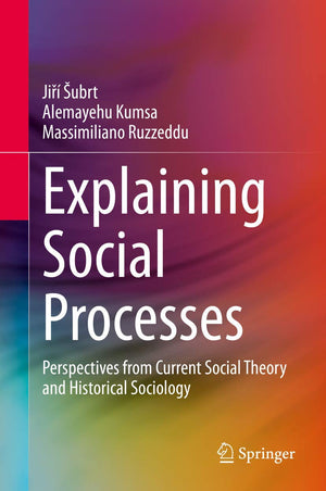 Explaining Social Processes: Perspectives from Current Social Theory and Historical Sociology,Used