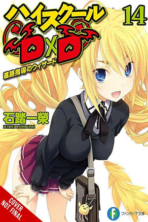 High School DxD, Vol. 14 (light novel) (High School Dxd, Light Novel, 14)