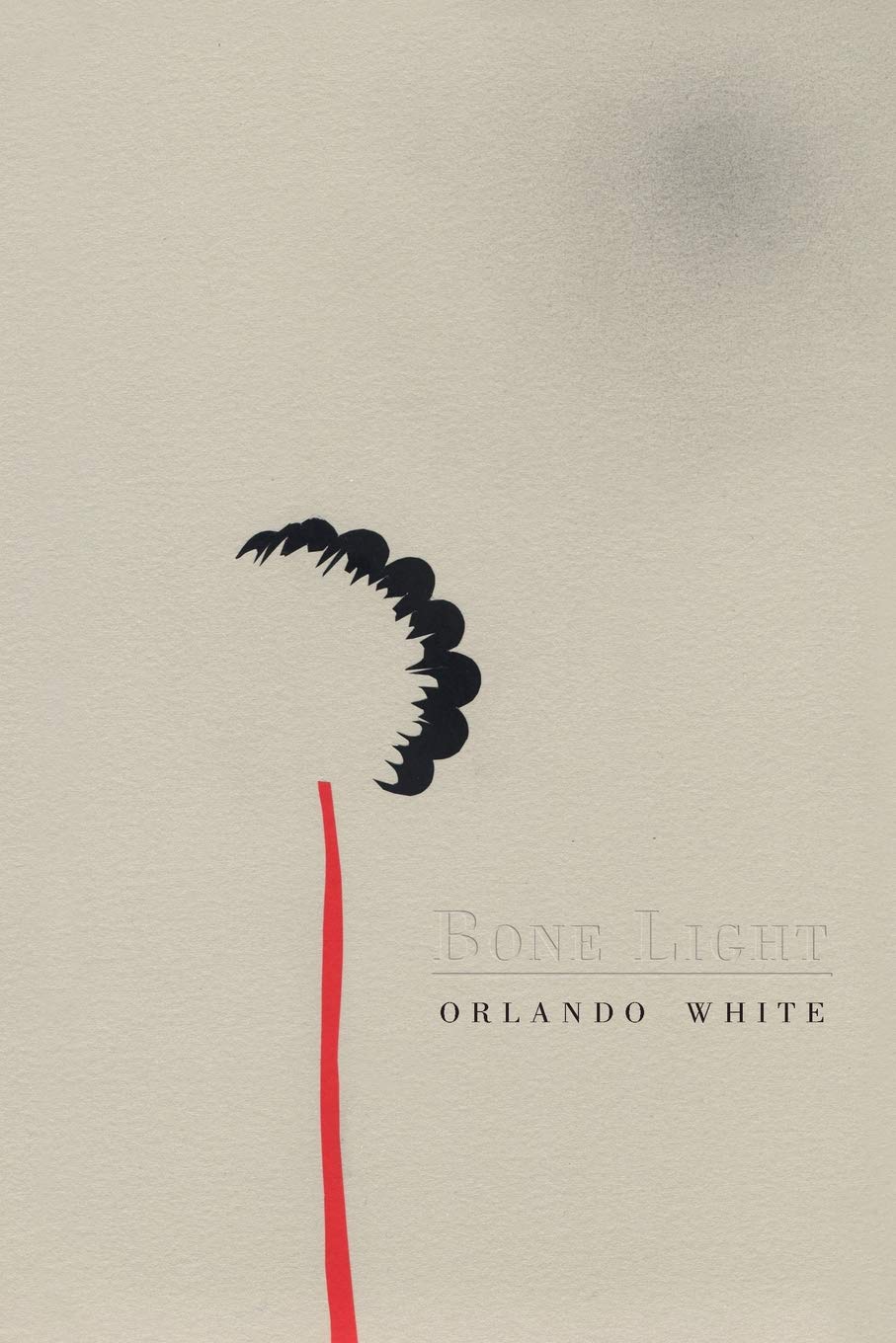 Bone Light,Used
