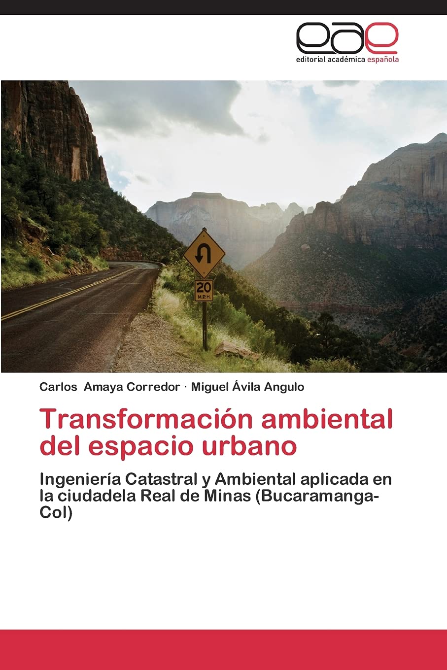 Transformacin ambiental del espacio urbano: Ingeniera Catastral y Ambiental aplicada en la ciudadela Real de Minas (Bucarama,Used
