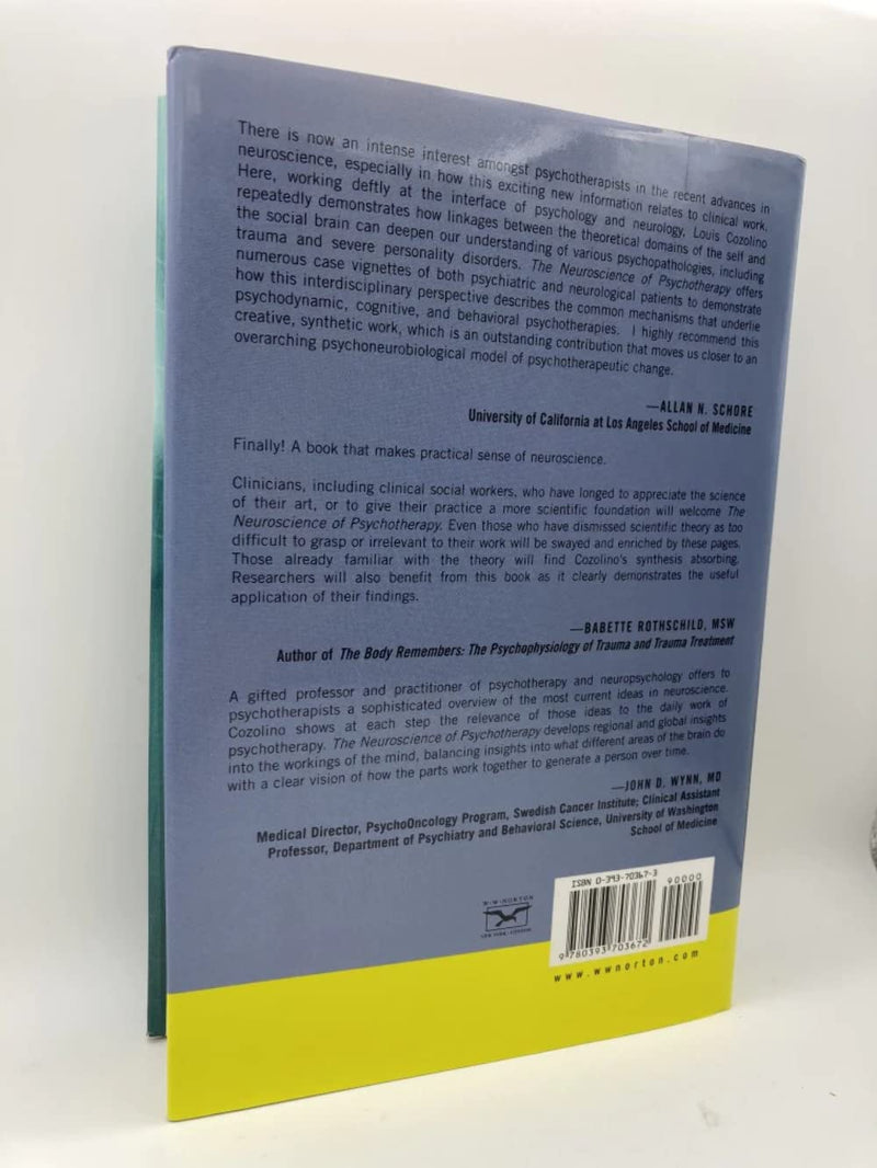 The Neuroscience of Psychotherapy: Building and Rebuilding the Human Brain (Norton Series on Interpersonal Neurobiology),Used