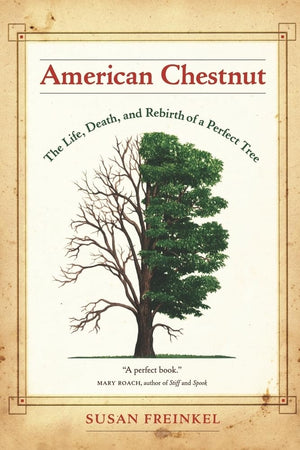 American Chestnut: The Life, Death, And Rebirth Of A Perfect Tree,New