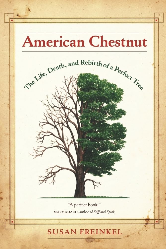 American Chestnut: The Life, Death, And Rebirth Of A Perfect Tree,New