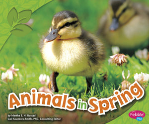 Animals in Spring (All About Spring),Used