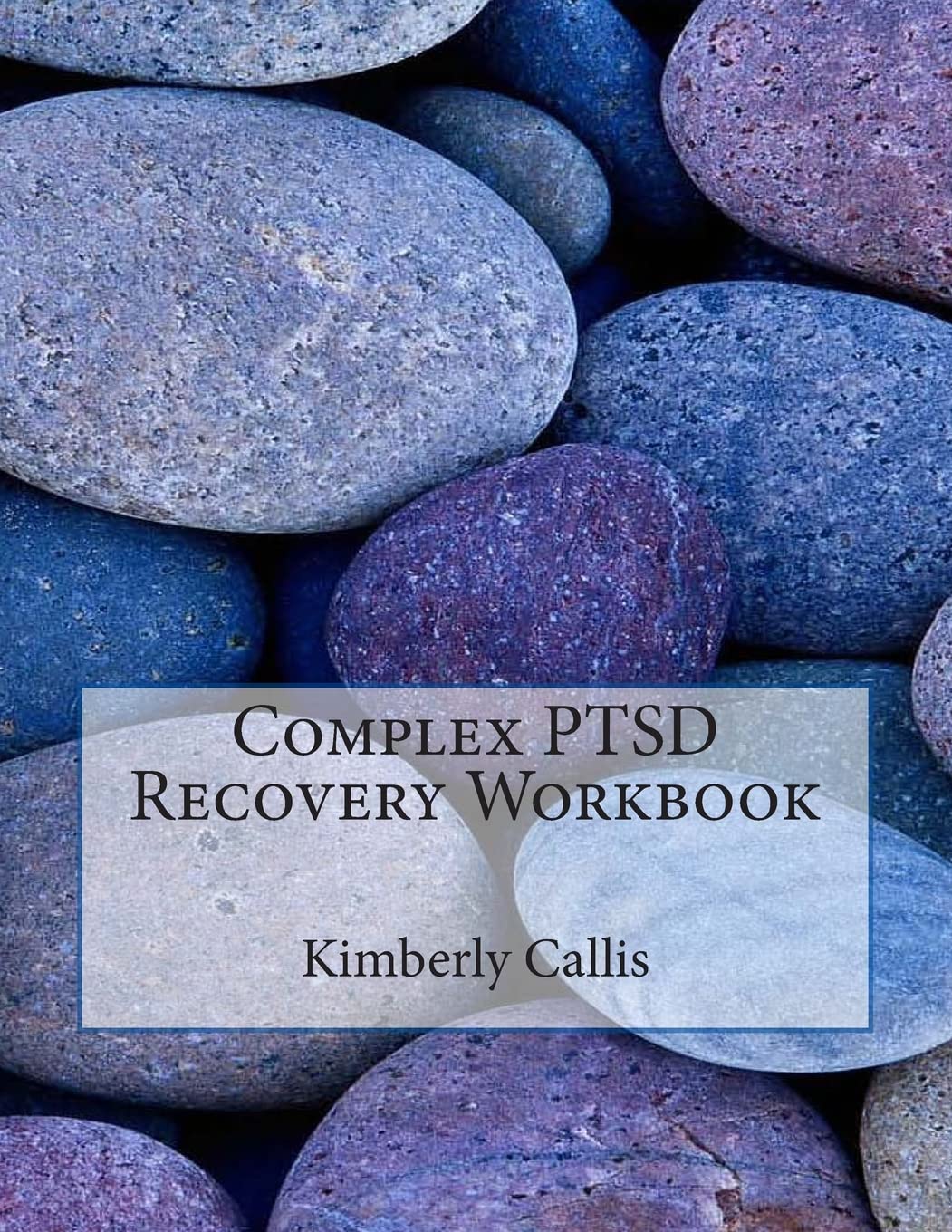 Complex PTSD Recovery Workbook: An Informed Patient's Perspective on Complex PTSD (Stoning Demons),Used
