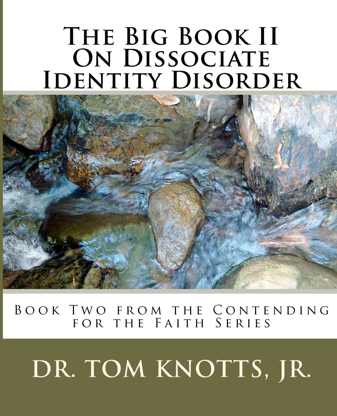 The Big Book Ii On Dissociate Identity Disorder: Book Two From The Contending For The Faith Series,Used