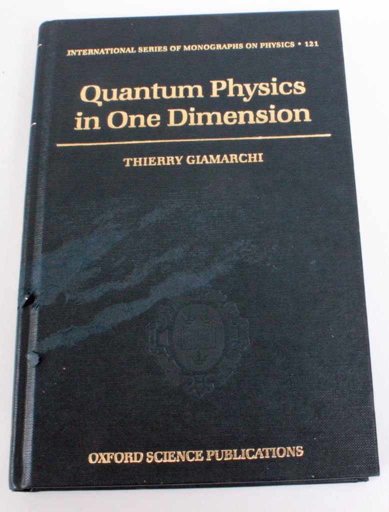 Quantum Physics in One Dimension (International Series of Monographs on Physics),Used