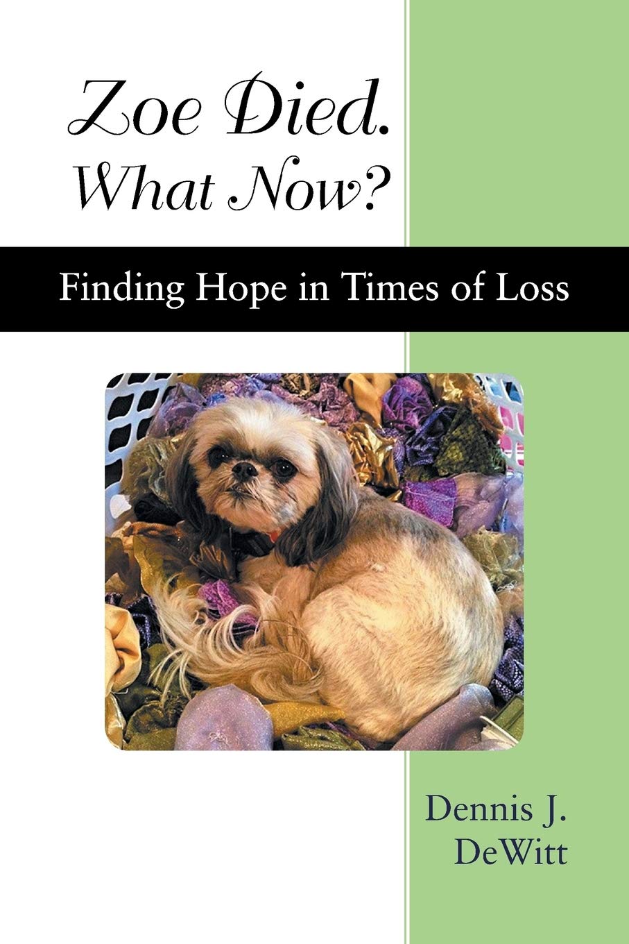 Zoe Died. What Now?: Finding Hope in Times of Loss,Used