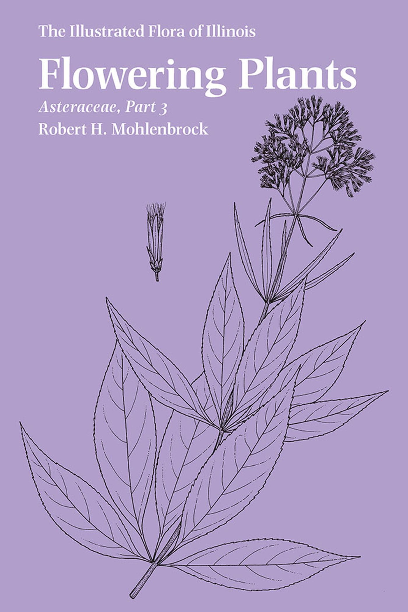 Flowering Plants: Asteraceae, Part 3 (The Illustrated Flora Of Illinois),Used