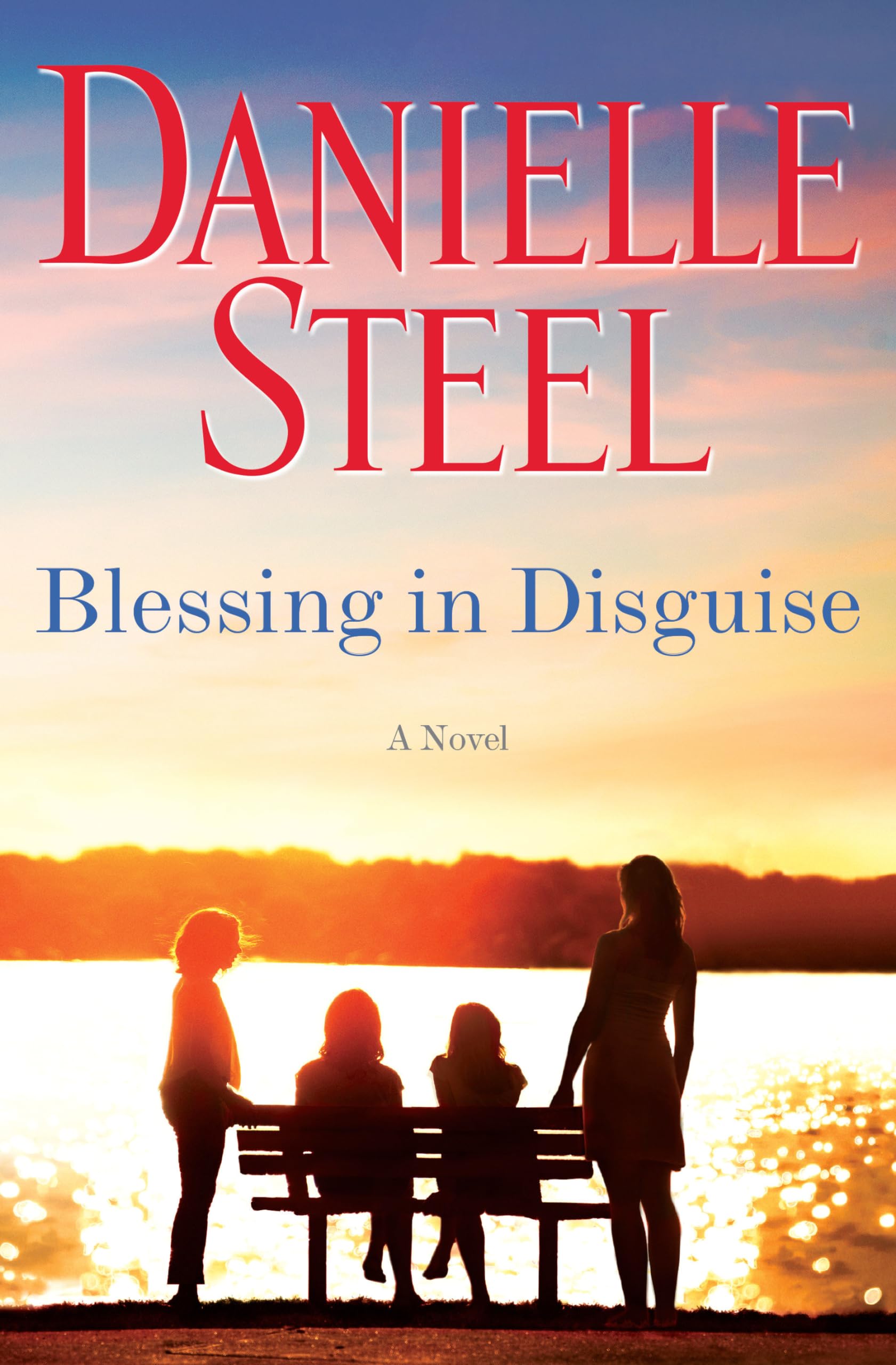 Blessing in Disguise: A Novel,Used