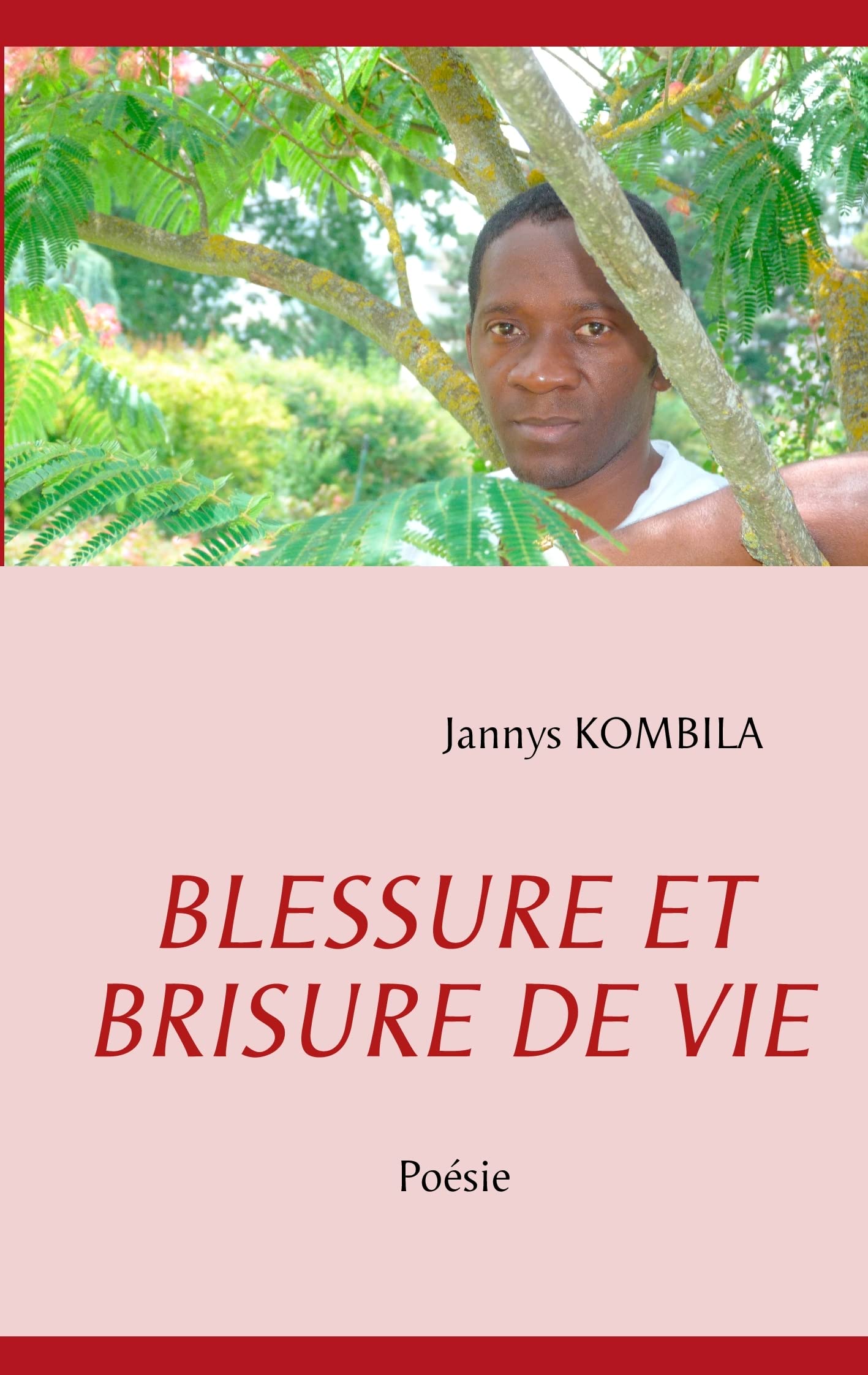 Blessure Et Brisure de Vie: Posie (French Edition),Used