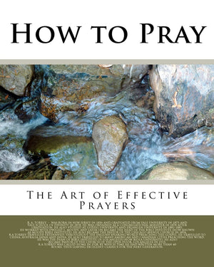 How To Pray: The Art Of Effective Prayers,Used