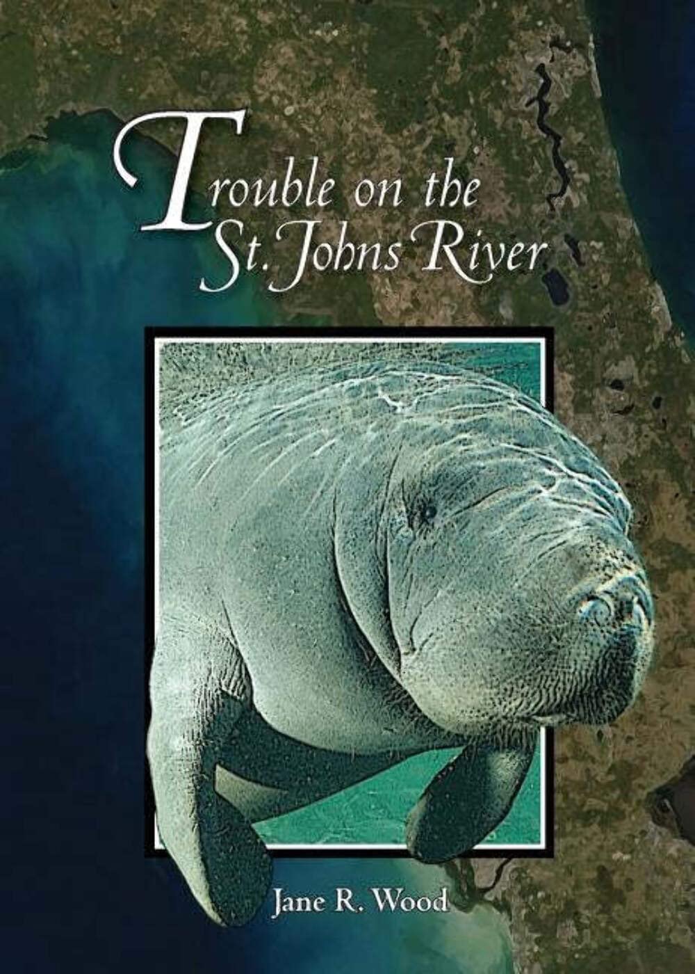 Trouble on the St. Johns River (Mom's Choice Awards Winner 2009),Used