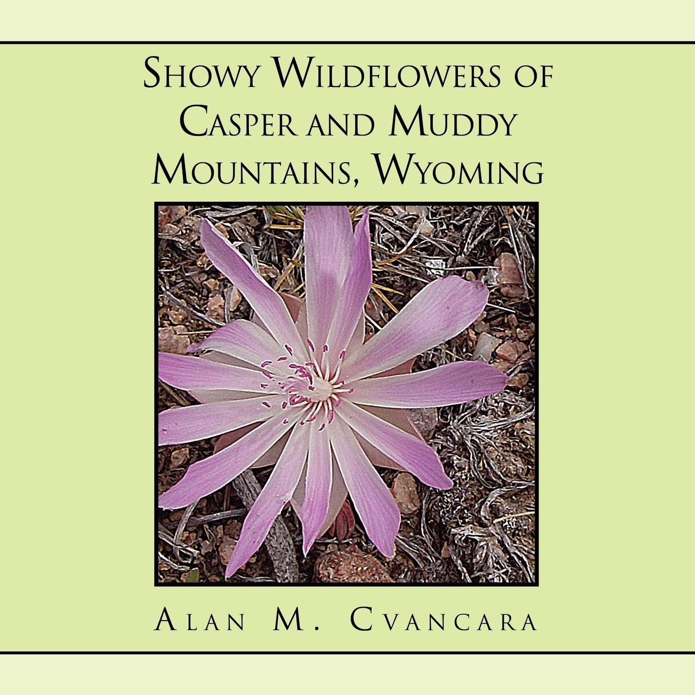 Showy Wildflowers Of Casper And Muddy Mountains, Wyoming,Used
